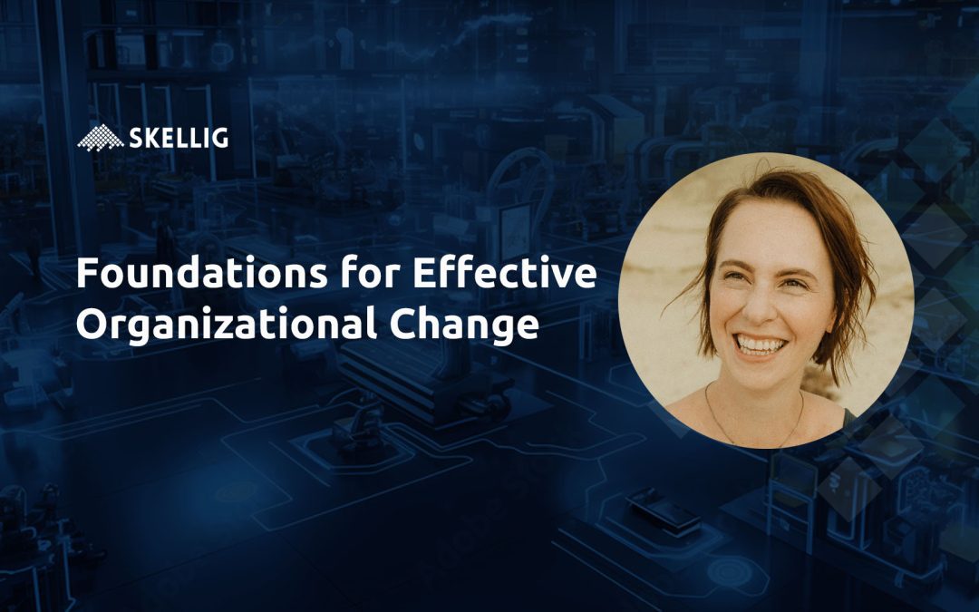 Foundations for Effective Organizational Change: Lessons from Abroad